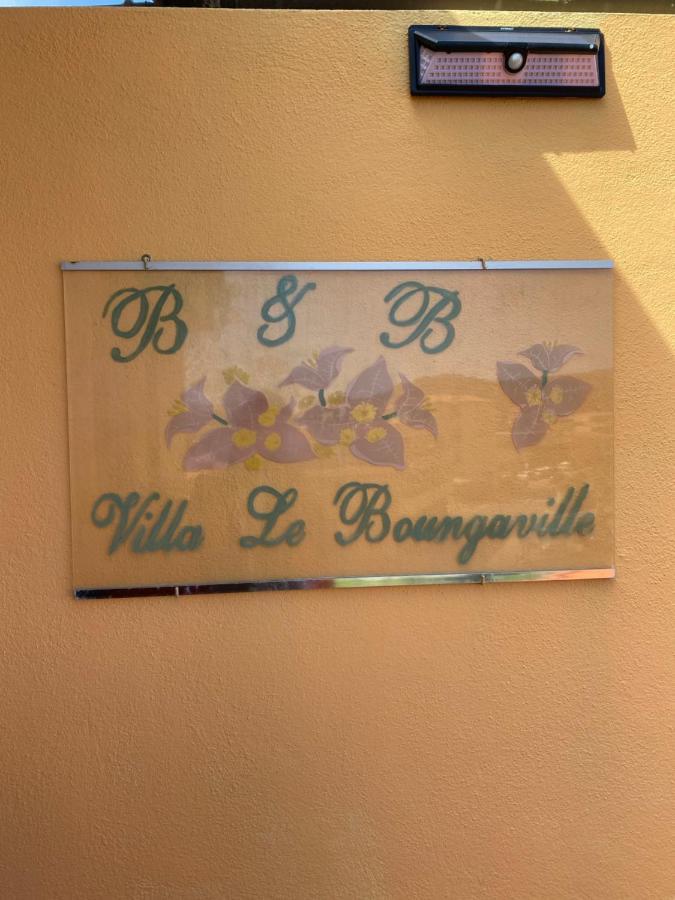 Le Bougainvillea
