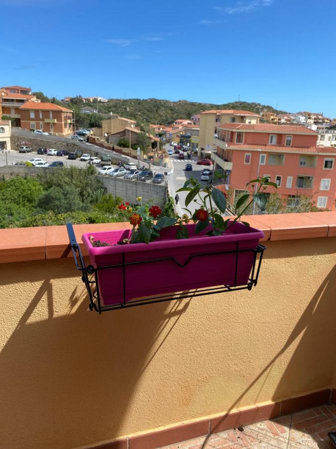 Le Bougainvillea Affittacamere *