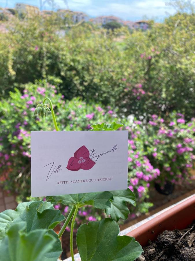 Le Bougainvillea *