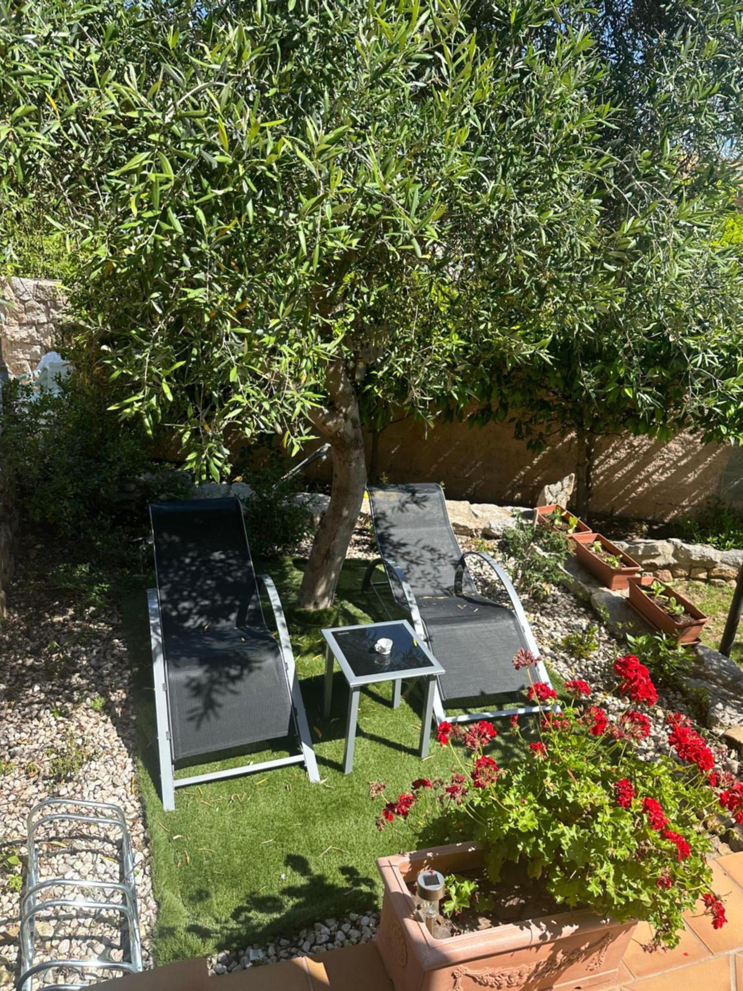 Guest house Le Bougainvillea