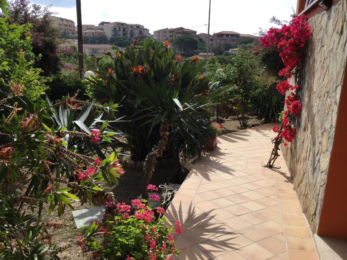 Le Bougainvillea *
